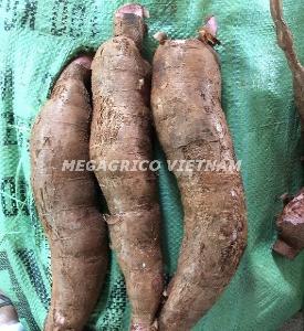 FROZEN CASSAVA