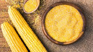 Corn Grit