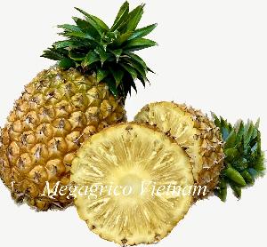 FROZEN PINEAPPLE (FROZEN FRUIT)