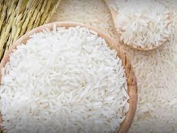 Jasmine rice