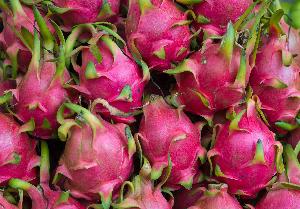 IQF DRAGON FRUIT - From Nafoods Vietnam