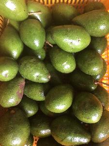 Frozen Booth Avocado half cut