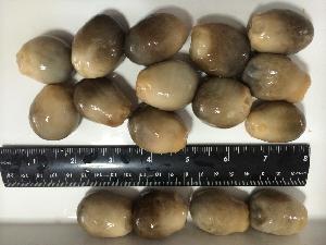 Canned Straw Mushrooms (whloe/half)