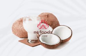 FROZEN COCONUT DICE - Premium coconut from NAFOODS Vietnam