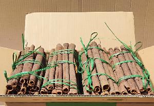 Fresh Crop Premium Grade Cassia Tubes /Sticks