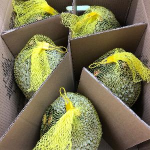 Frozen Whole Monthong Durian 4-5 pcs/12kgs/carton