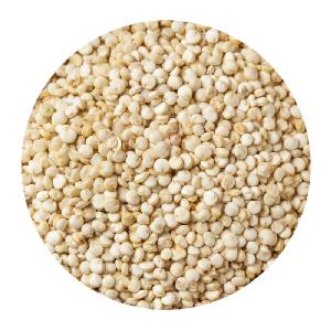 WHITE SORGHUM