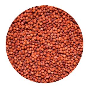 RED SORGHUM