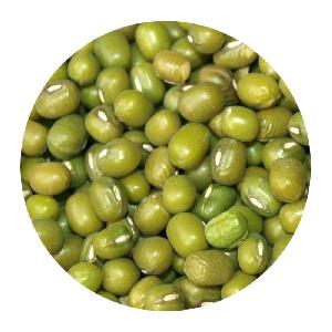 search Mung Beans MUNG BEANS
