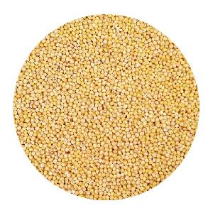 MILLET