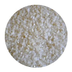  SUSHI   RICE 