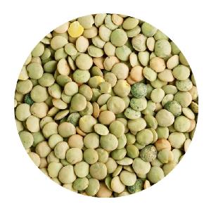 GREEN LENTILS