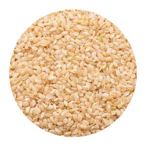 SHORT GRAIN BROWN RICE