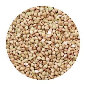 BUCKWHEAT