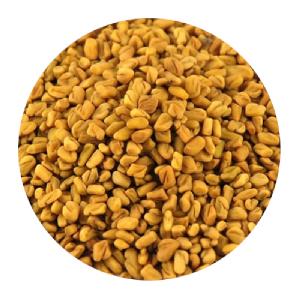 FENUGREEK SEEDS