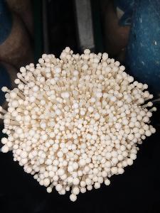 Enoki Mushroom