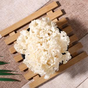 Fresh Sparassis crispa