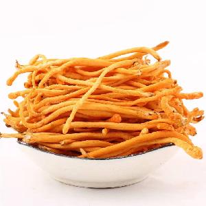 Fresh Cordyceps Fungi Flower