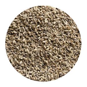 WHOLE ANISEED