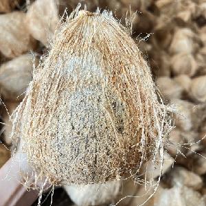 DRIED COCONUT IN VIETNAM