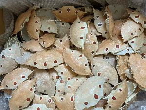 Blue Crab Shell Meat Whole Clean Stuffed and Dried Variety of Raw Crab Shell Foods High Quality