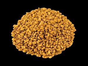 Fenugreek