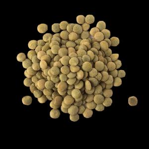 Green Lentil