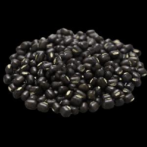 Black Gram