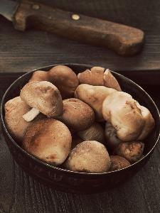 Brine Mushroom