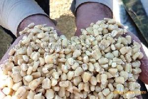 WHITE MAIZE