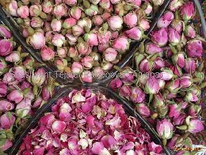 dried rose