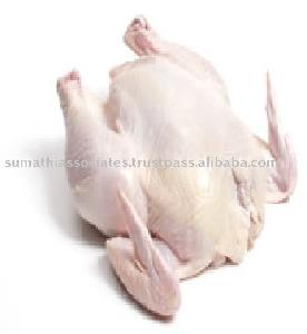 boiled whole chicken