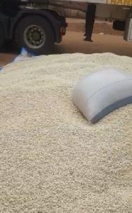 Premium Quality Dried White Corn, 100% Natural Dried White Maize