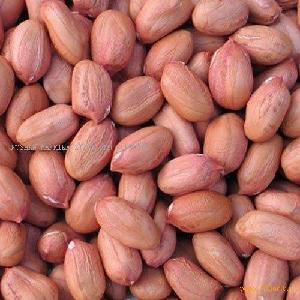  Fresh   Nuts 