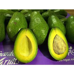 Frozen SAP Avocado diced 2 x 2cm