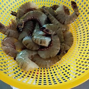 Black tiger hlso Easy Peeled
