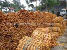cinnamon stick