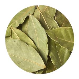 fresh BAY LEAVES