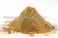 pure Ginger Powder