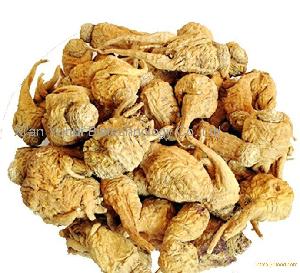  organic   maca   powder 