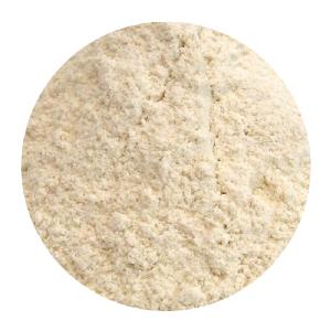 organic ONION POWDER