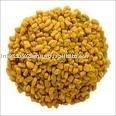 fenugreek seeds methi