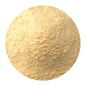 Raw GARLIC POWDER