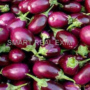 FRESH BRINJAL