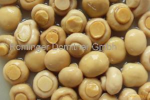 WHOLE CANNED MUSHROOM