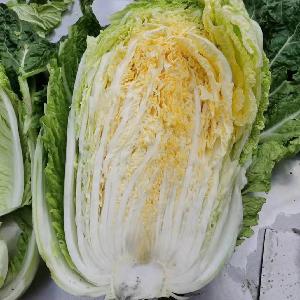 Cabbage