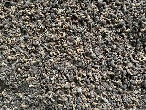 Cashew Nut Meal- Animal Feed - Horse feed- Vietnam