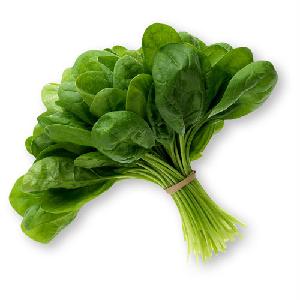 Nutrient-Rich Spinach