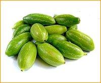  Ivy  gourd