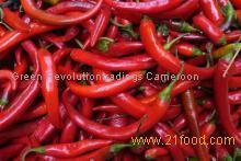 red chilli